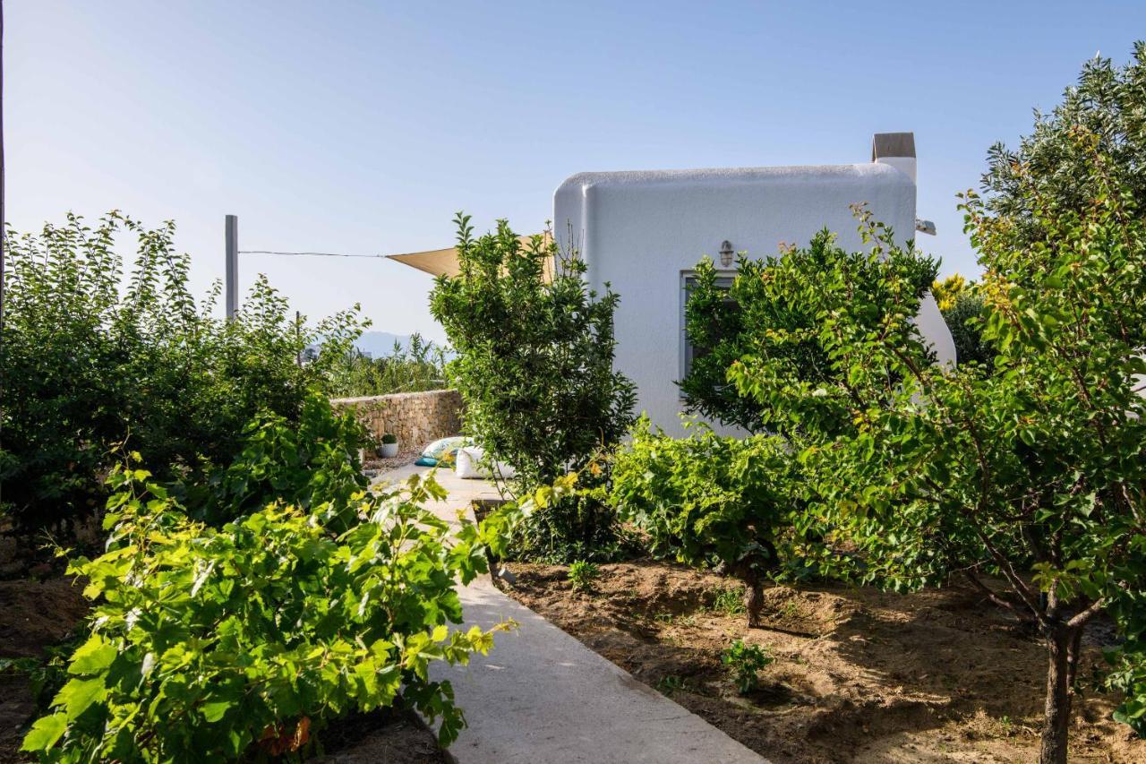 Live & Dream Vila Mykonos Town Exterior foto
